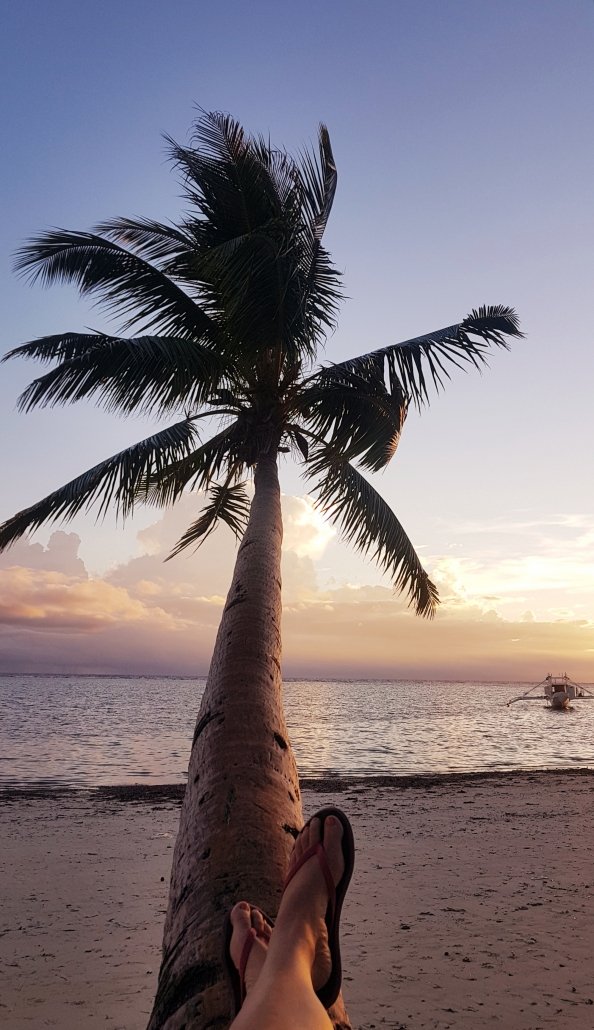 palmboom zee voeten slippers