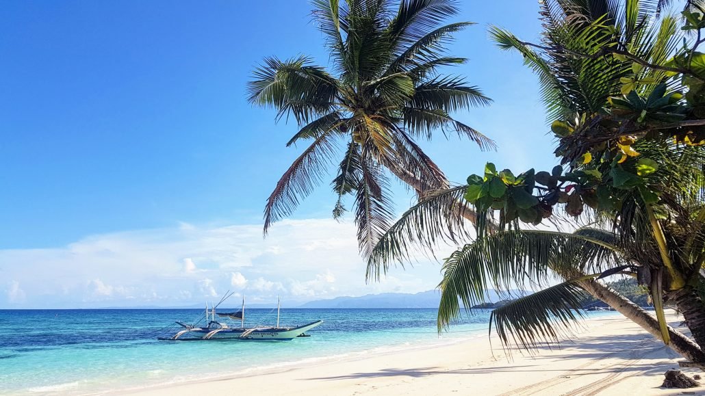 strand palmboom bootje zee