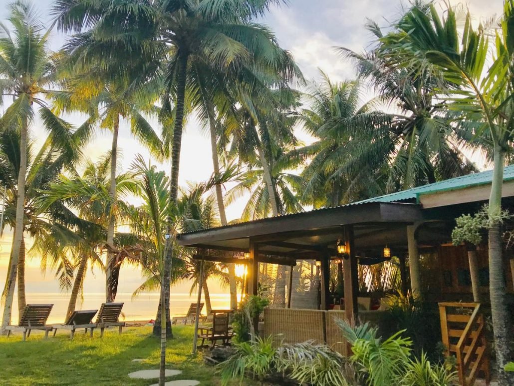 palmbomen sunset hotel