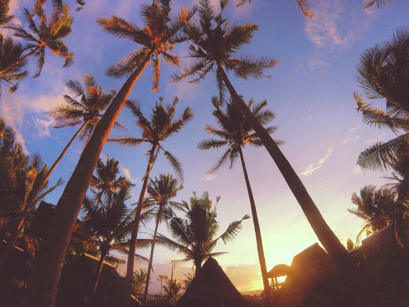 Gubat - Surfen bij Lola Sayong Eco Surfcamp