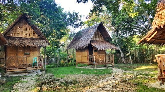 Bohol Coco Farm