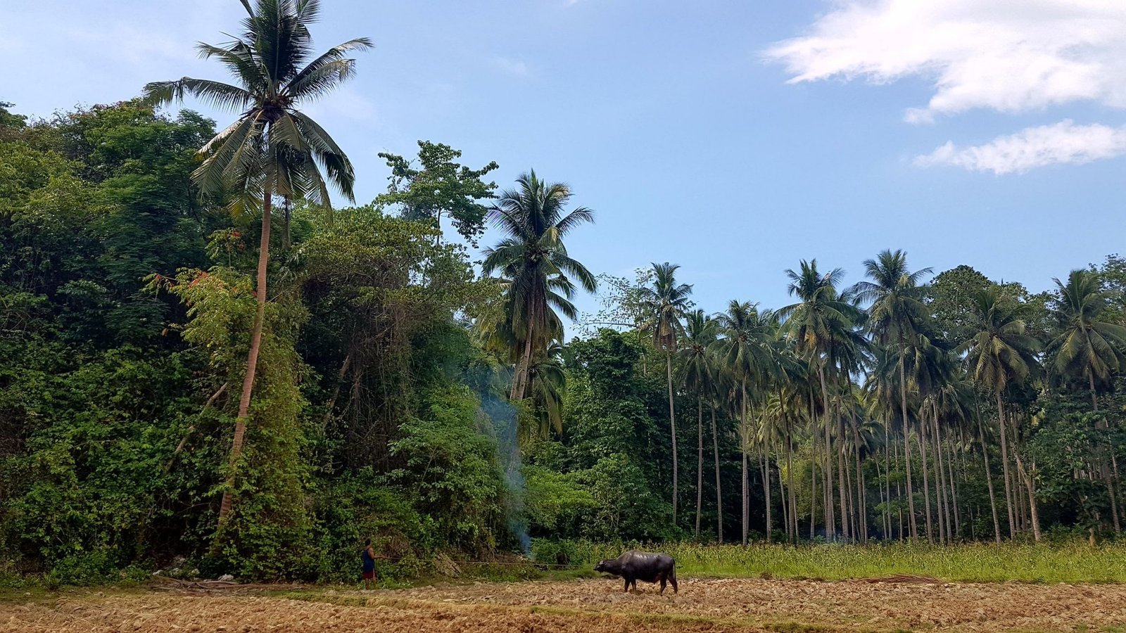 Sipalay Suger Beach - Afgesloten van de bewoonde wereld