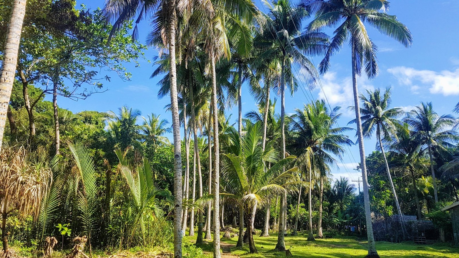 Carabao Island - De zuidelijke parel van Romblon
