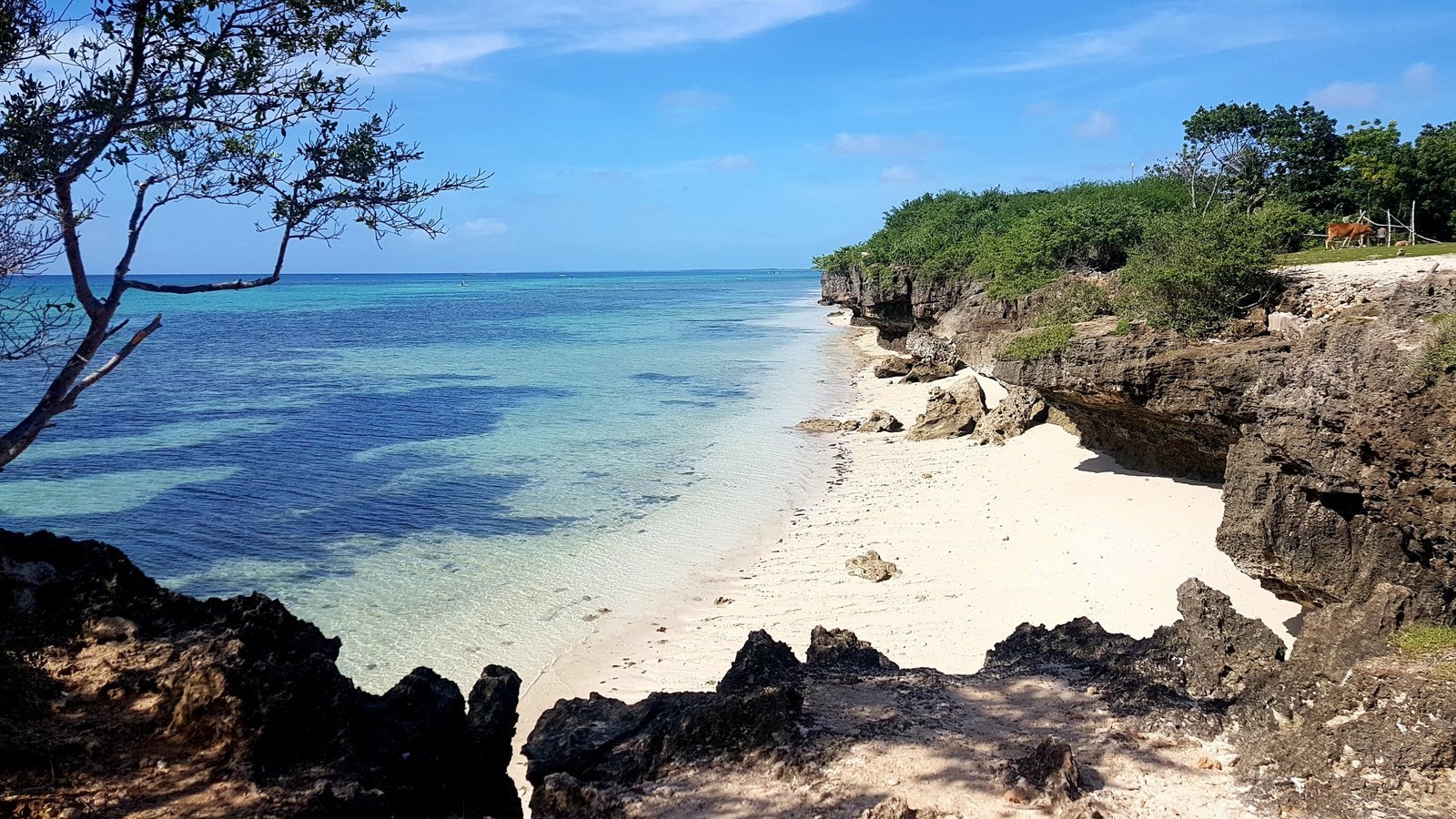 Mini reisgids voor Cebu en bijbehorende eilanden