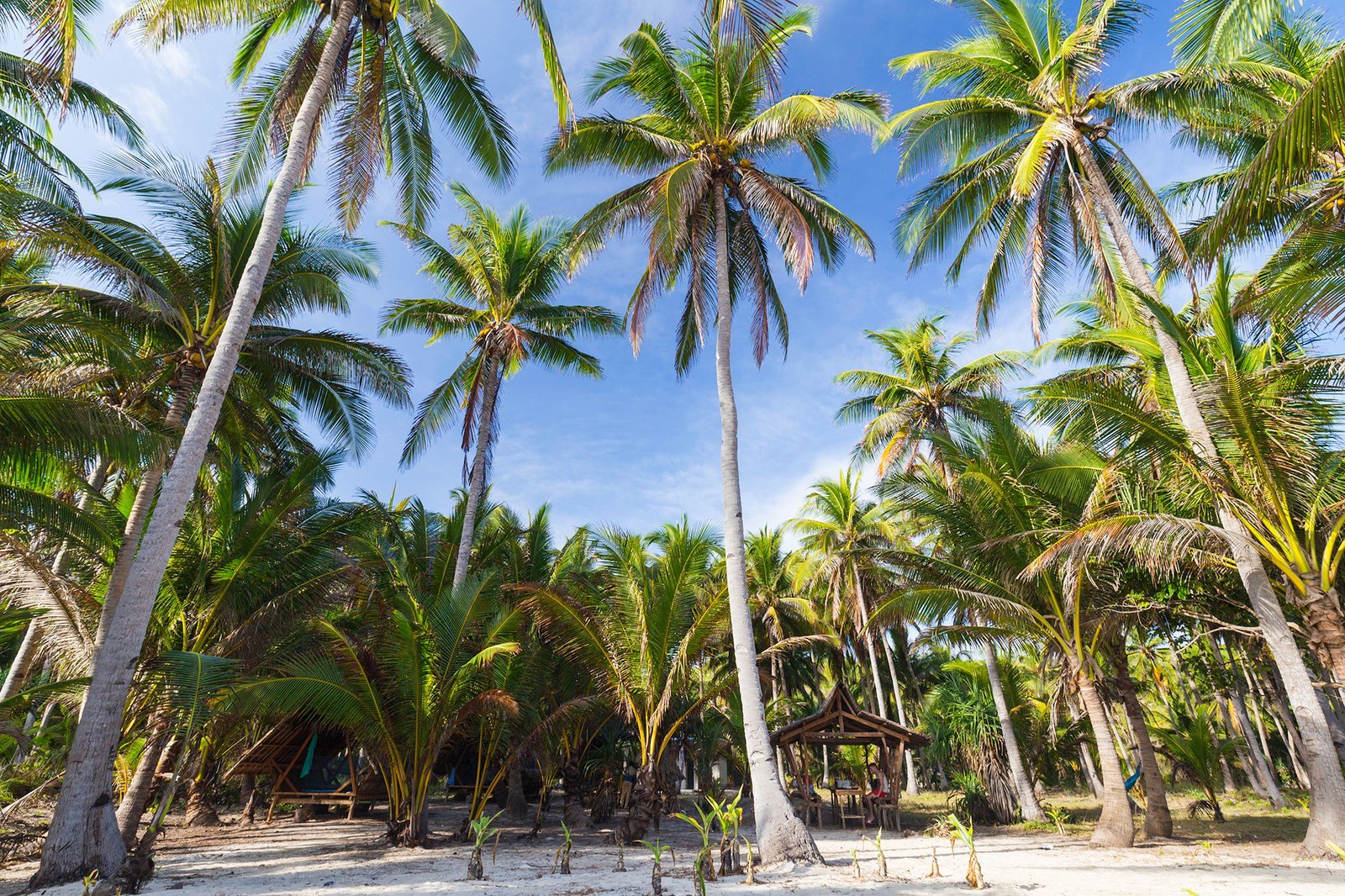 Boot expeditie - Off the beaten track in Linapacan - Palawan