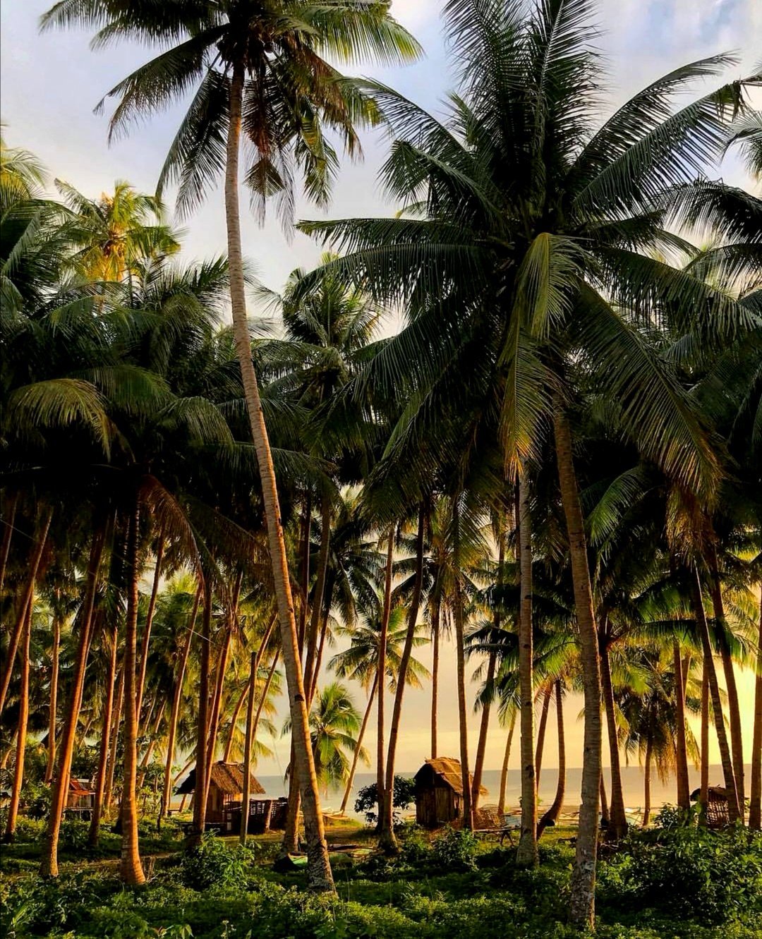 Siquijor - Het mysterieuze eilandje in de Visayas