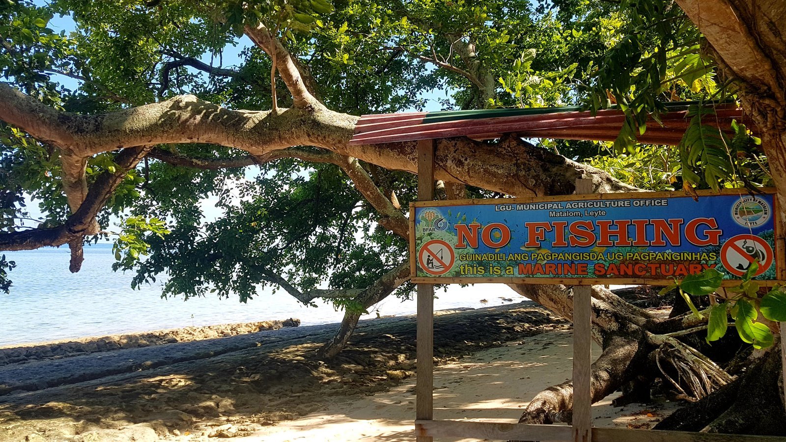 Canigao Island - Het onontdekte pareltje van Leyte