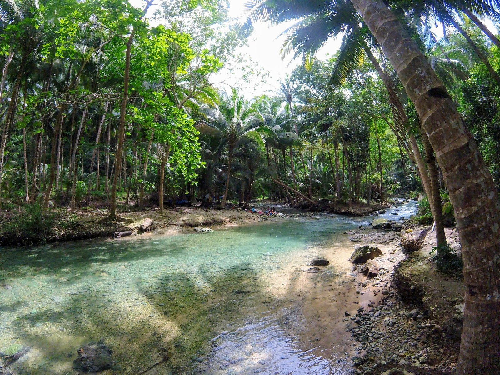 kawasan falls