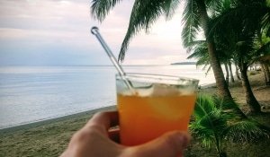 cocktail beach palmtree